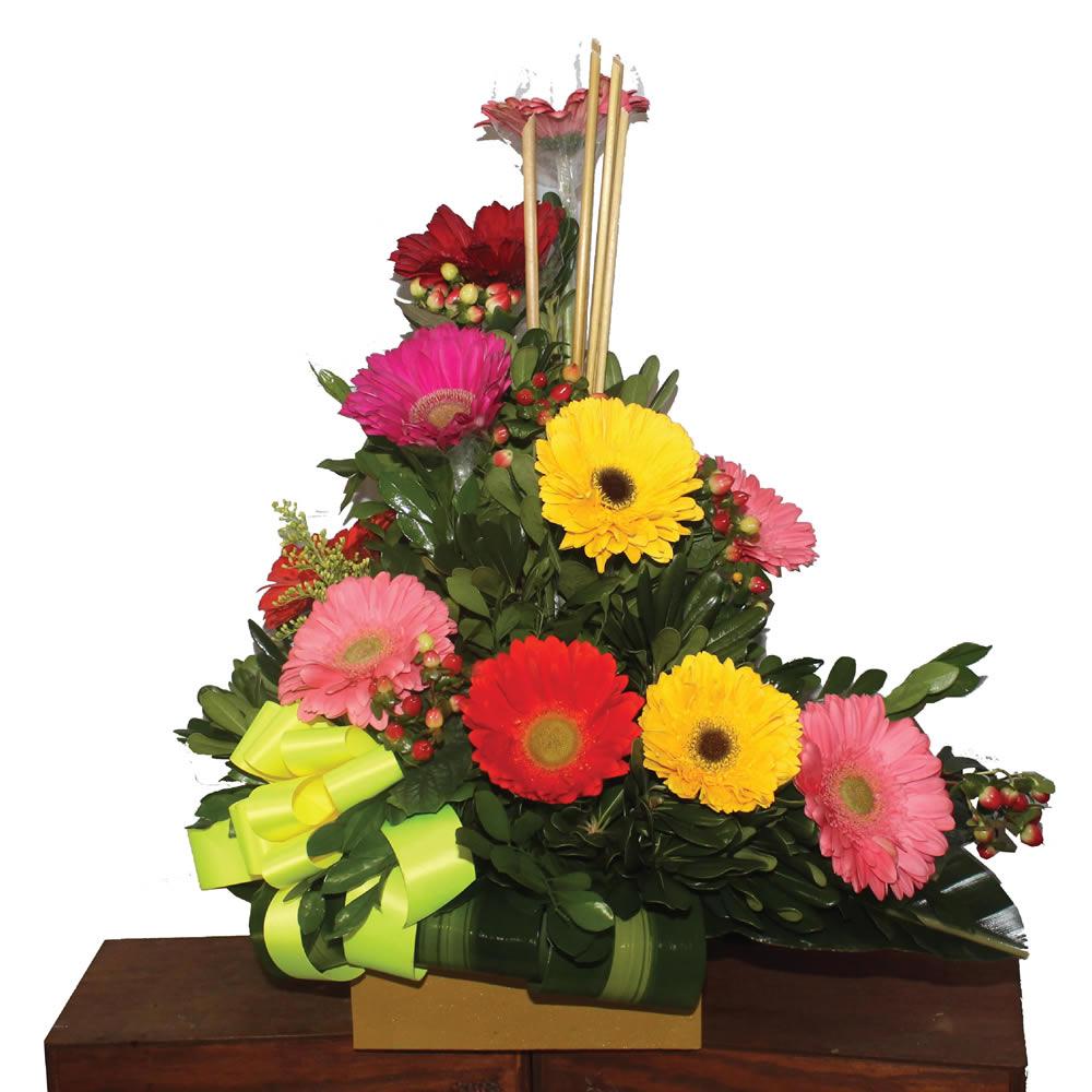 ESPIRAL GERBERA COLORES | Floristería Emanuel